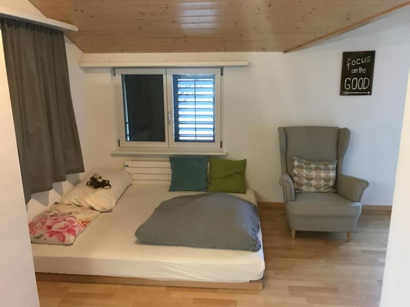 Appartamento mansardato moderno e individuale (3)