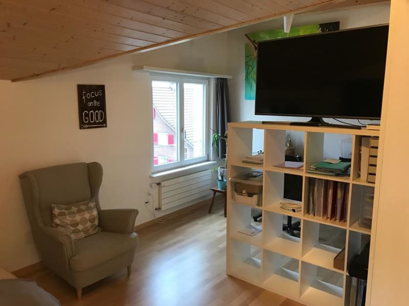 Appartamento mansardato moderno e individuale (5)