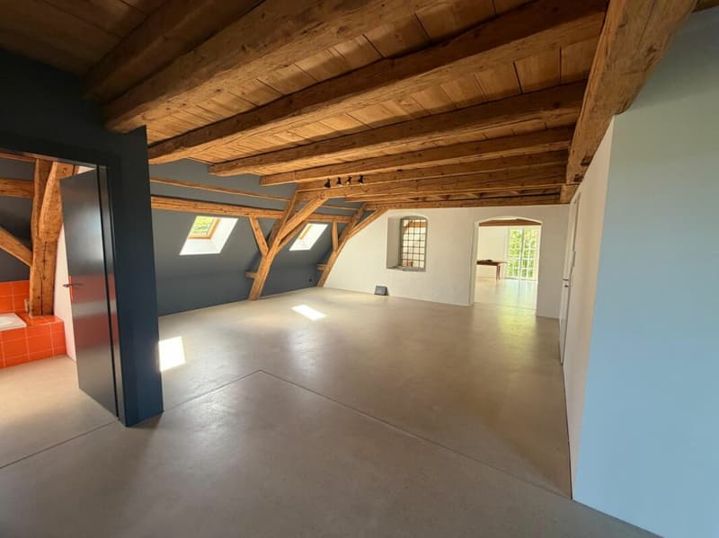 Exclusive loft, open space on 159 m2 with exclusive interior design. (5)