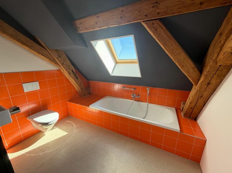 Exclusive loft, open space on 159 m2 with exclusive interior design. (9)