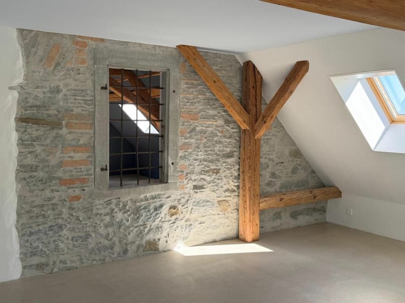 Exclusive loft, open space on 159 m2 with exclusive interior design. (3)