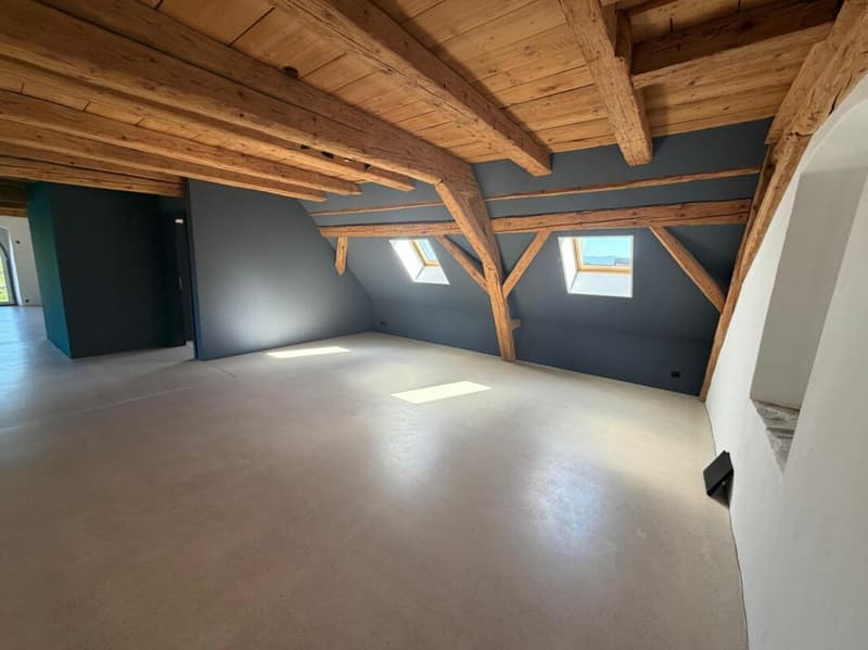 Exclusive loft, open space on 159 m2 with exclusive interior design. (4)