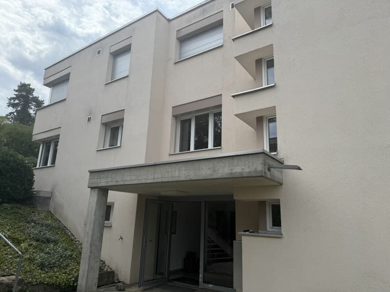 Wohnen an attraktiver Lage in Frauenfeld (3)