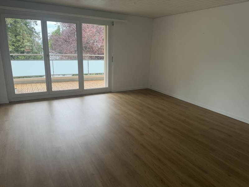 Wohnen an attraktiver Lage in Frauenfeld (7)