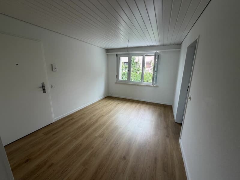 Wohnen an attraktiver Lage in Frauenfeld (6)
