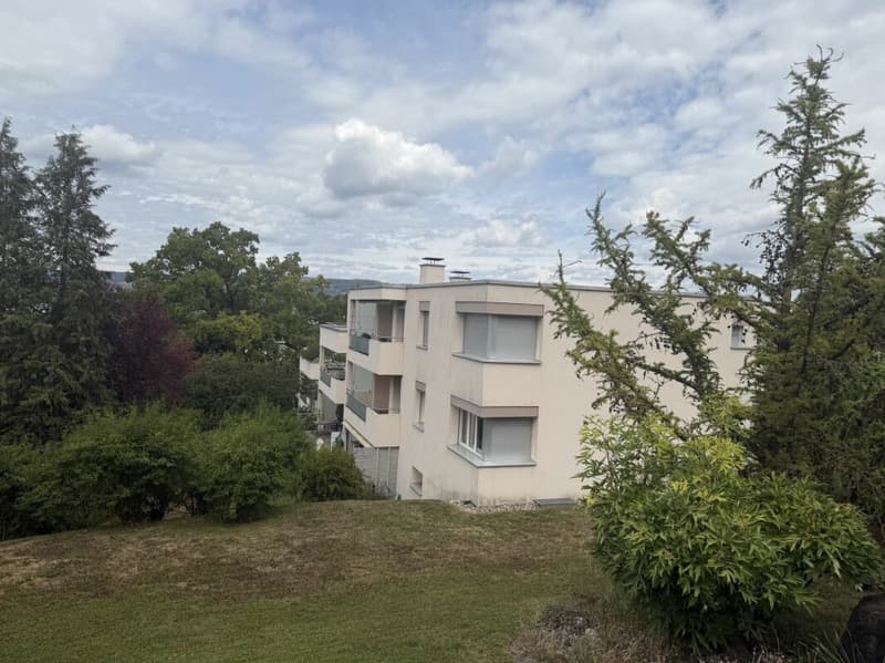 Wohnen an attraktiver Lage in Frauenfeld (2)