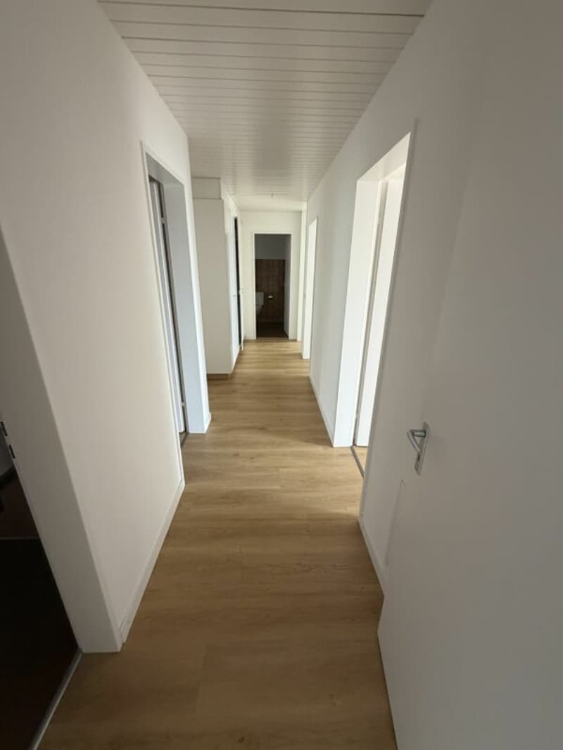 Wohnen an attraktiver Lage in Frauenfeld (4)