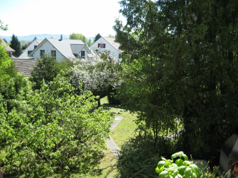 4-Zimmerwohnung in Stein am Rhein (6)