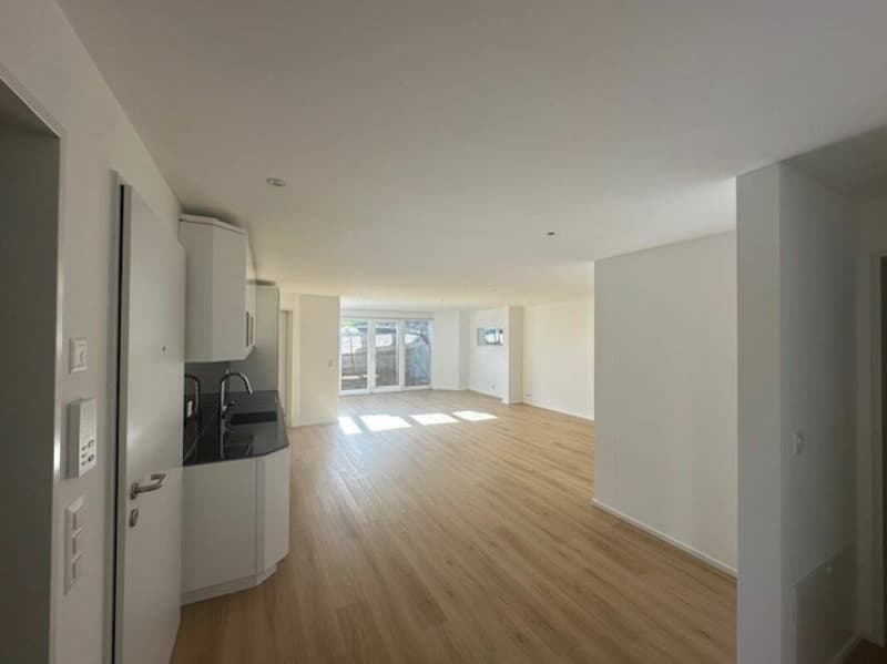Moderne Neubauwohnung (2)