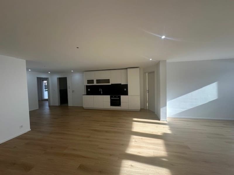 Moderne Neubauwohnung (1)