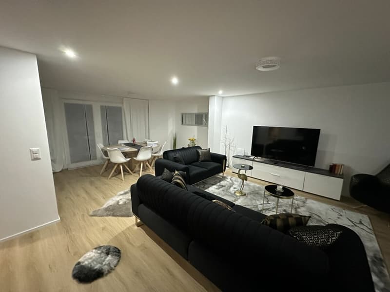 Moderne Neubauwohnung (1)