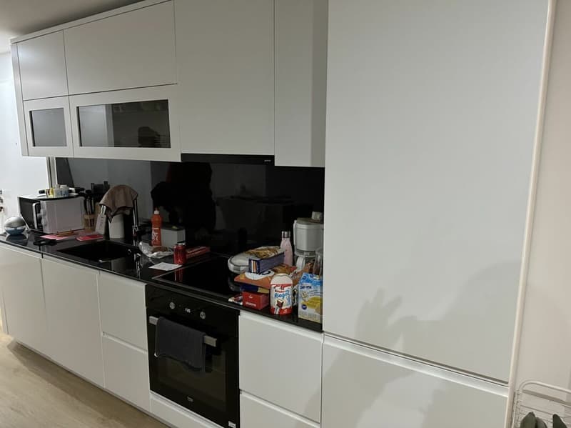 Moderne Neubauwohnung (2)