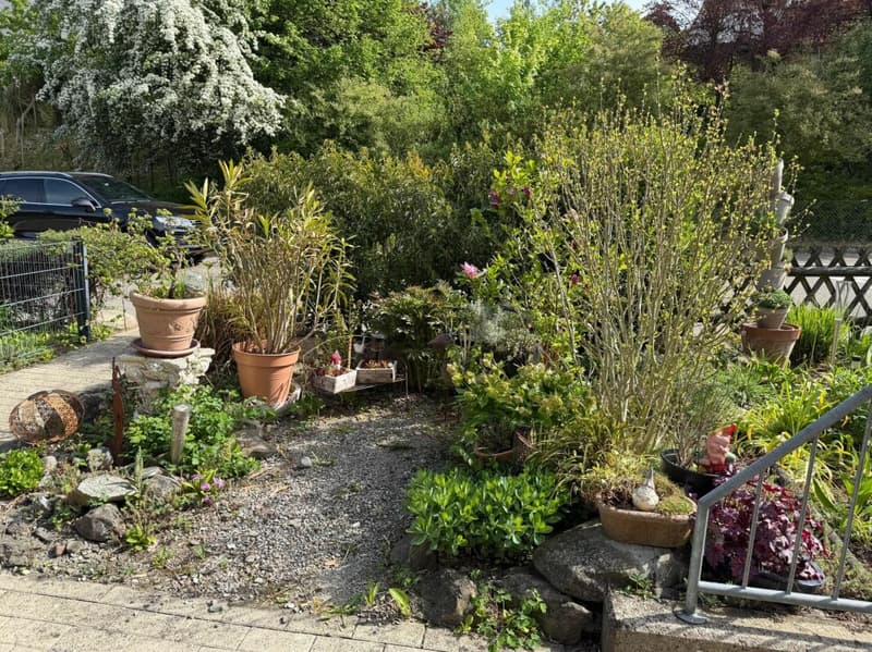 Garten Nordseite