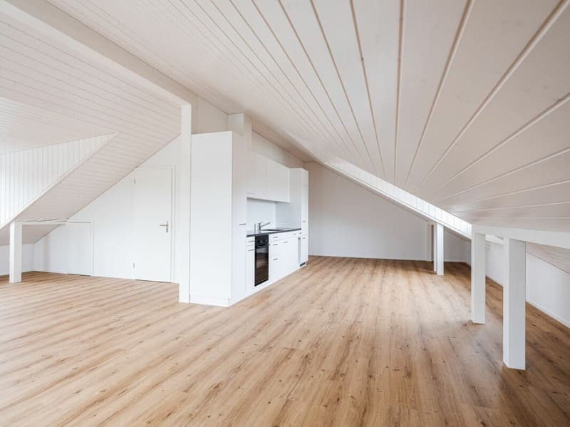 ERSTVERMIETUNG, EINZIGARTIGE UND TRENDIGE DACHWOHNUNG MIT LOFTCHARAKTER! (3)
