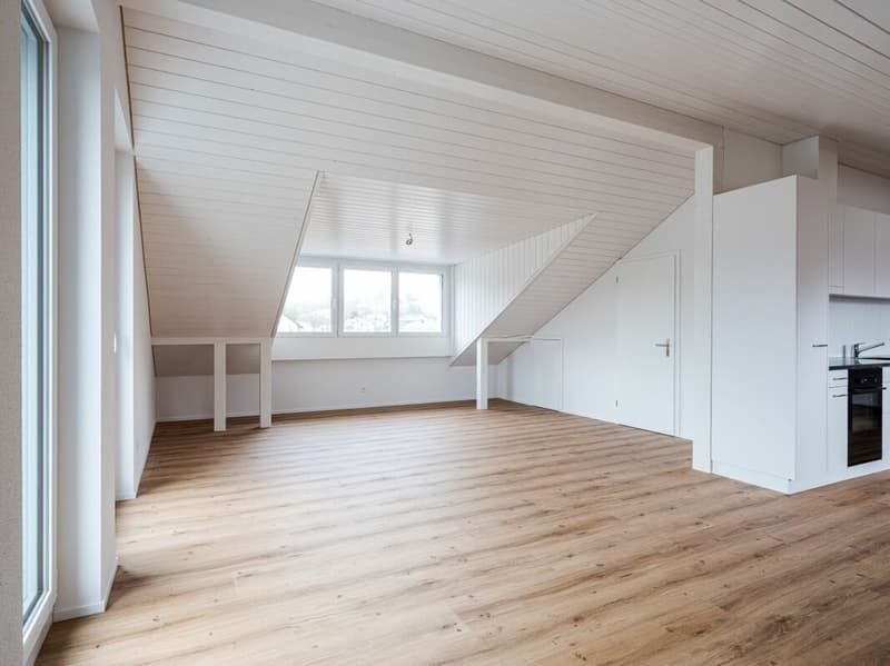 ERSTVERMIETUNG, EINZIGARTIGE UND TRENDIGE DACHWOHNUNG MIT LOFTCHARAKTER! (4)