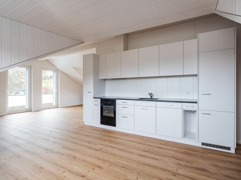 ERSTVERMIETUNG, EINZIGARTIGE UND TRENDIGE DACHWOHNUNG MIT LOFTCHARAKTER! (2)