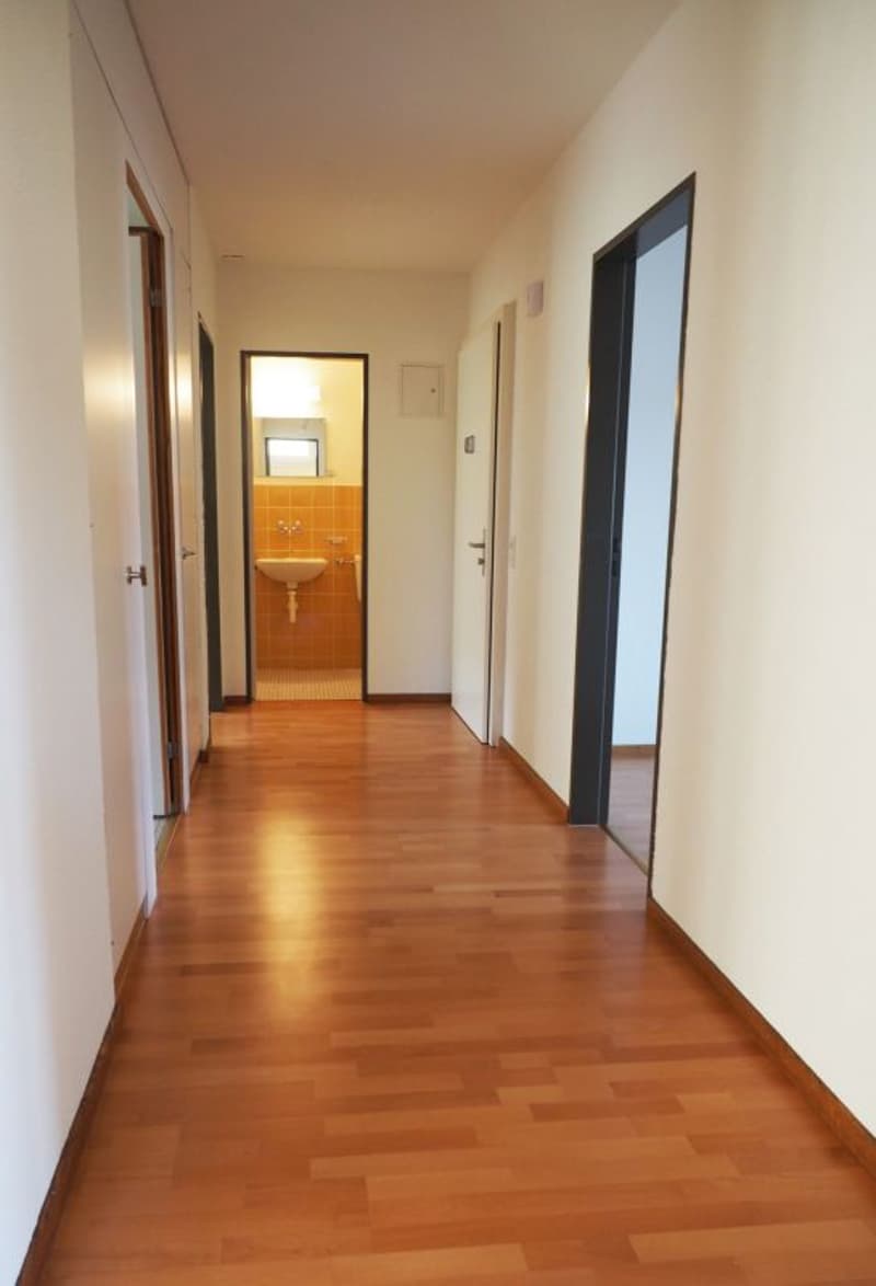 Appartamento 4.5 locali con vista sul verde, Winterthur (6)