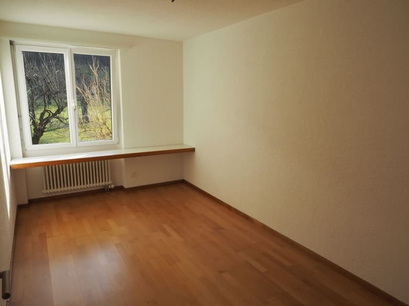 Appartamento 4.5 locali con vista sul verde, Winterthur (3)