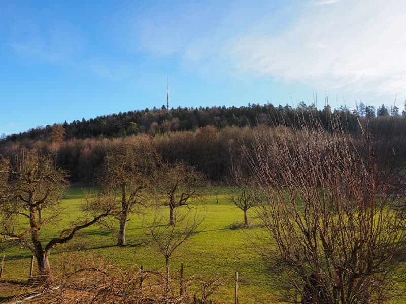 Appartamento 4.5 locali con vista sul verde, Winterthur (10)