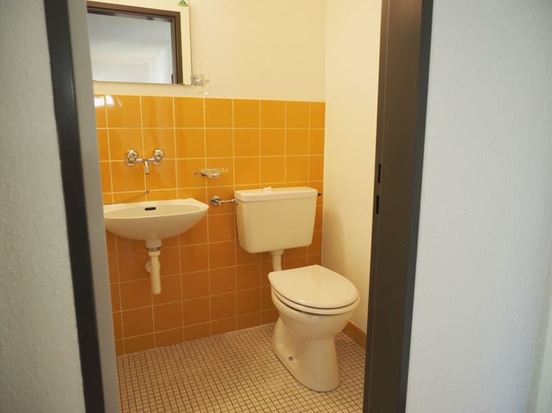 Appartamento 4.5 locali con vista sul verde, Winterthur (8)