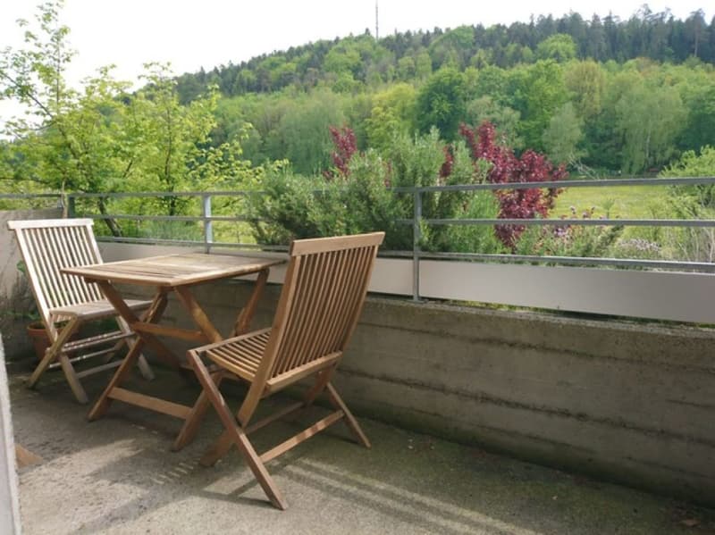 Appartamento 4.5 locali con vista sul verde, Winterthur (1)