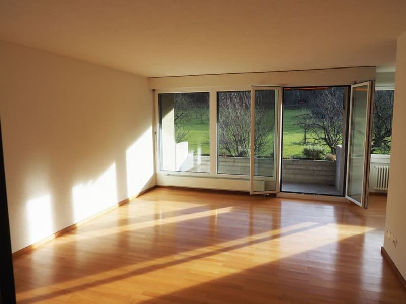 Appartamento 4.5 locali con vista sul verde, Winterthur (2)