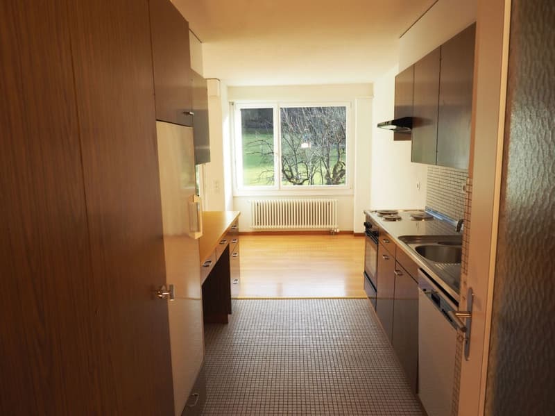 Appartamento 4.5 locali con vista sul verde, Winterthur (7)