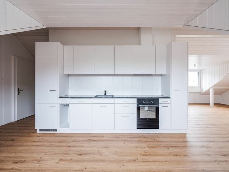UNIQUE AND TRENDY LOFT-STYLE APARTMENT FOR RENT FOR THE FIRST TIME! (3)