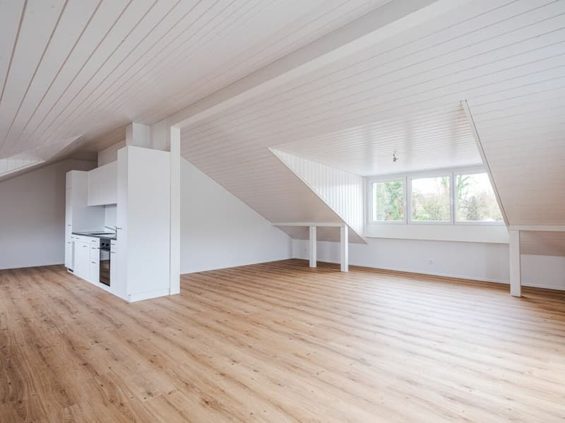 UNIQUE AND TRENDY LOFT-STYLE APARTMENT FOR RENT FOR THE FIRST TIME! (1)