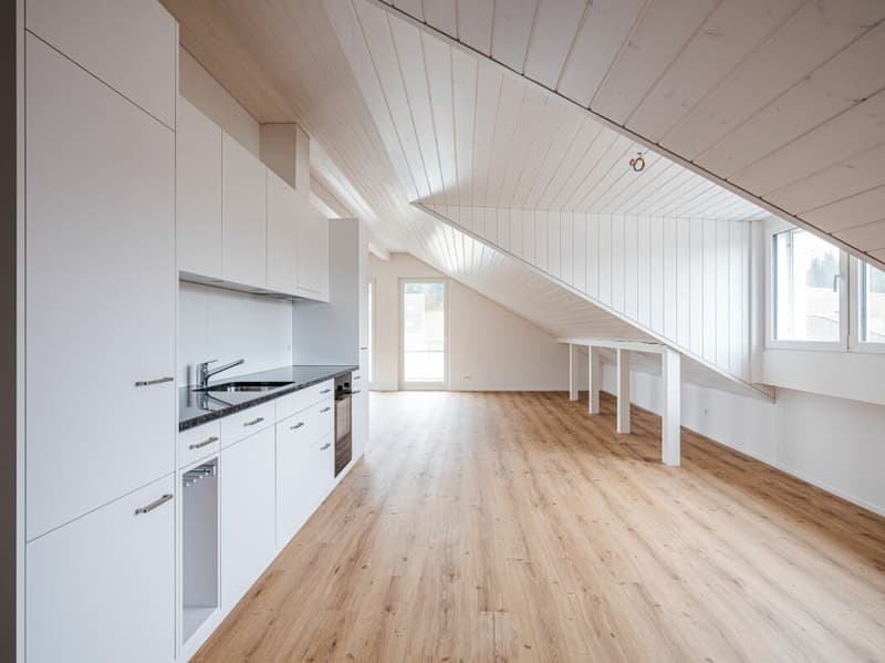 UNIQUE AND TRENDY LOFT-STYLE APARTMENT FOR RENT FOR THE FIRST TIME! (4)