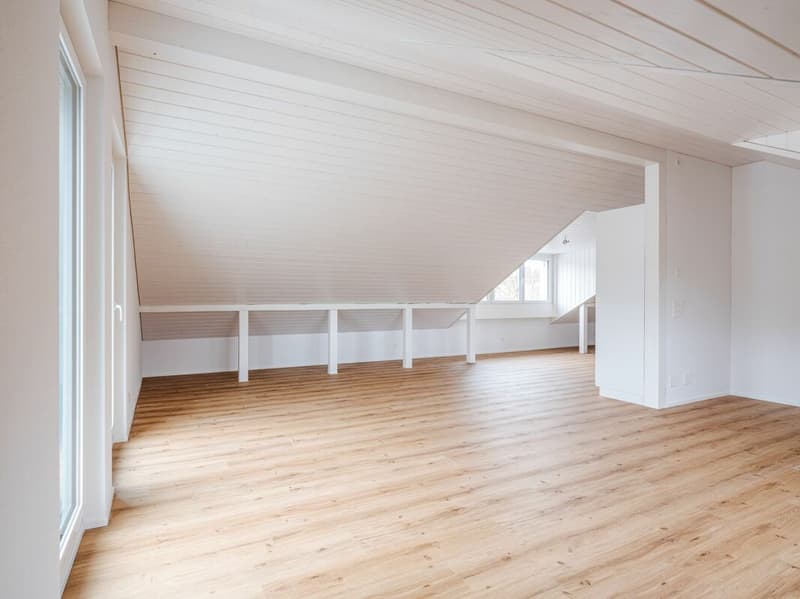 UNIQUE AND TRENDY LOFT-STYLE APARTMENT FOR RENT FOR THE FIRST TIME! (5)