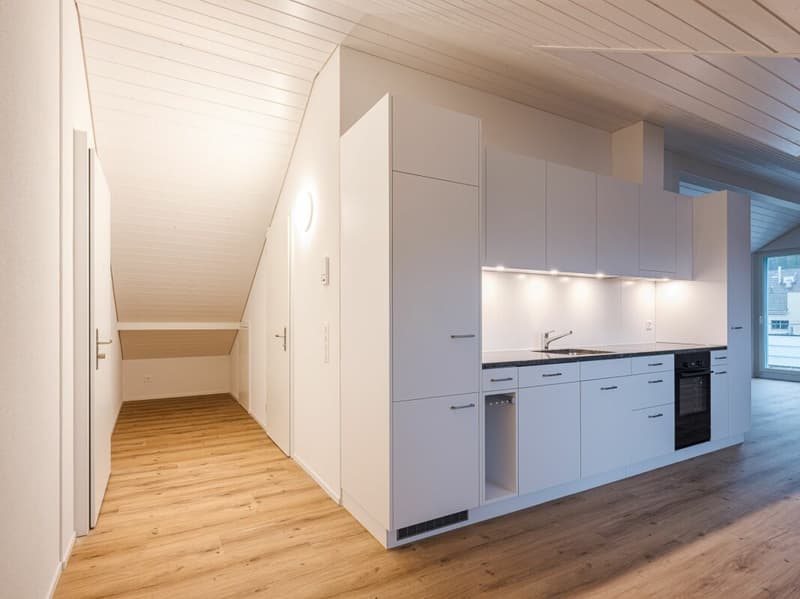 UNIQUE AND TRENDY LOFT-STYLE APARTMENT FOR RENT FOR THE FIRST TIME! (2)