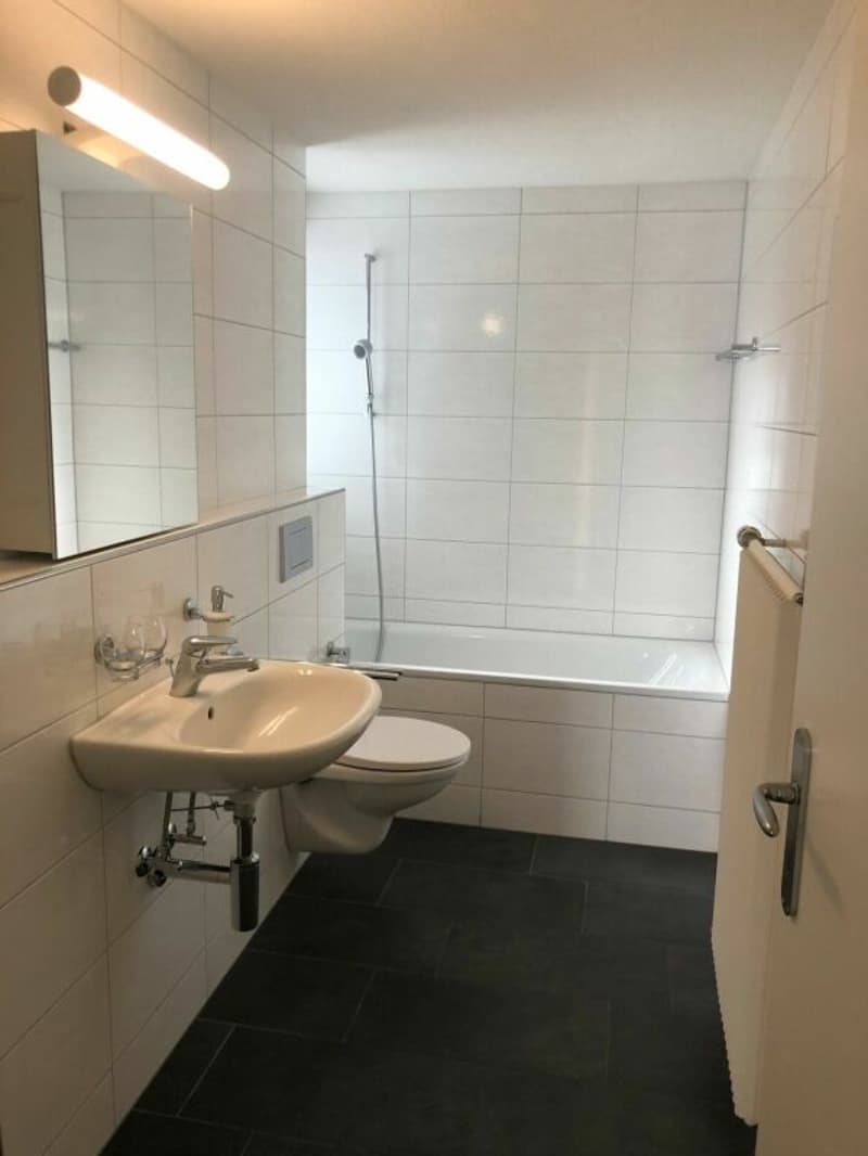 Vivere sul lago, moderno e conveniente (4)
