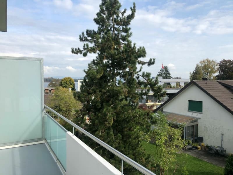 Vivere sul lago, moderno e conveniente (1)
