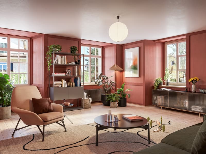 Spezialangebot in Elsau! (7)