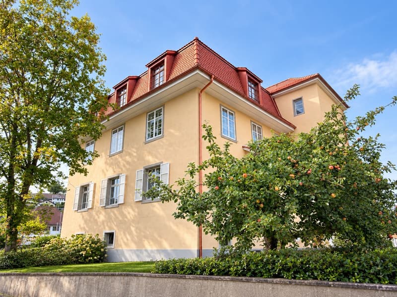 Erstvermietung: einzigartige 3.5-Zimmer-Wohnung im 2. OG (1)
