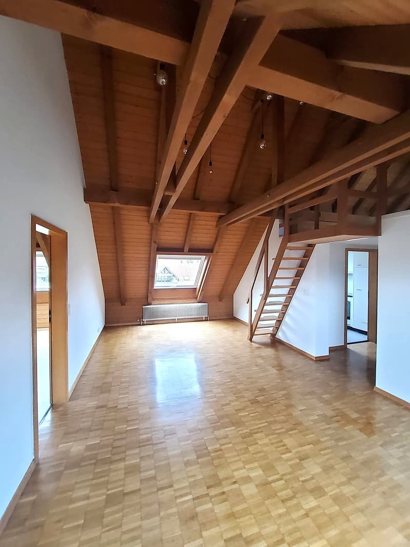 Charmant appartement mansardé avec galerie (5)