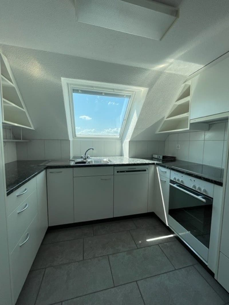 Charmant appartement mansardé avec galerie (2)