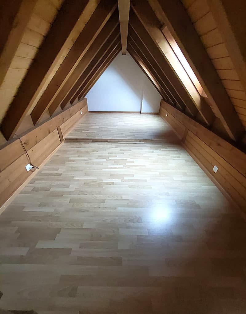 Charmant appartement mansardé avec galerie (7)