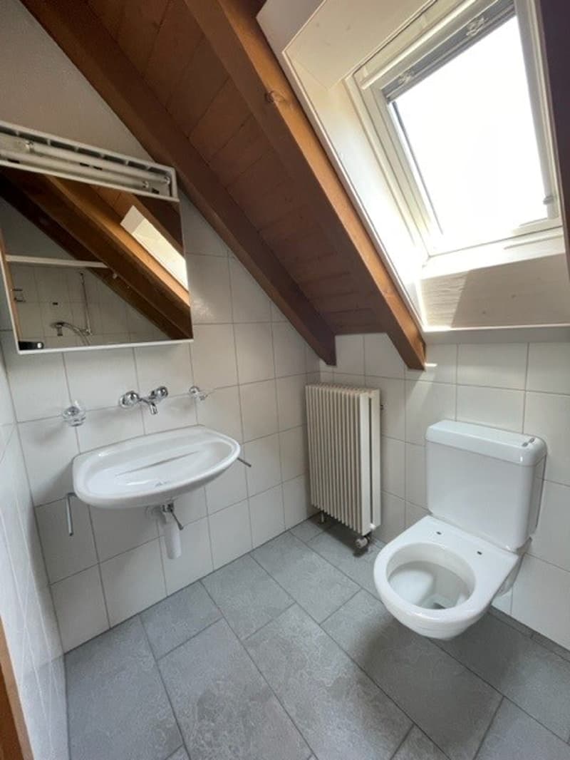 Charmante Dachwohnung mit Galerie (3)