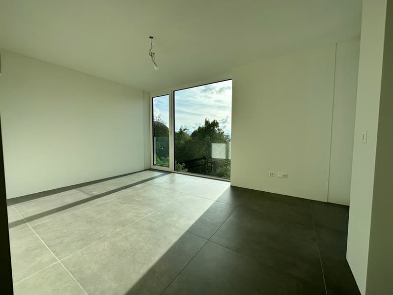 Large open room with floor-to-ceiling windows providing a view of the outdoor landscape, hardwood flooring, and minimal decor.