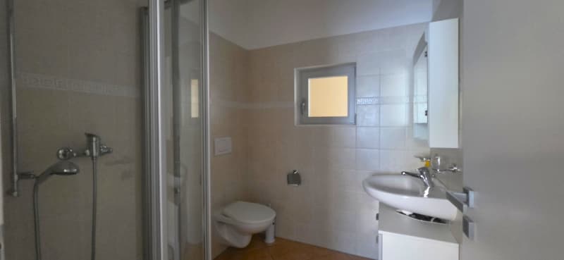 Breganzona: comfortable office/store with windows and 2 parking spaces (3)