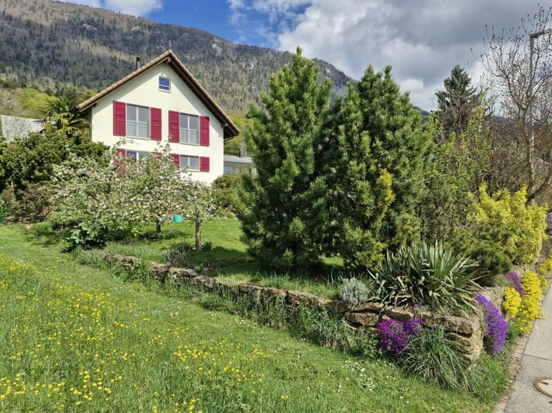 Superbe maison unifamiliale avec espace de séjour abrité du vent (1)