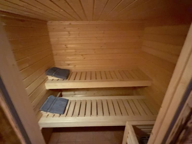 Beautiful guesthouse with apartment and guest wellness rooms for sale (6)