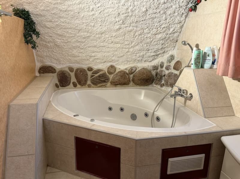 Beautiful guesthouse with apartment and guest wellness rooms for sale (5)