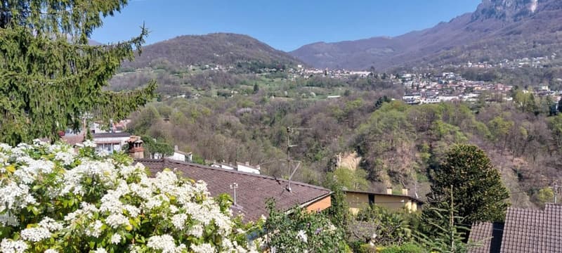Grosses u. privates EFH mit Lift mit Grottino, Zweitwohnsitz! Ampia e prestigiosa casa unifamiliare privata con ascensore, grottino e possibilità di residenza secondaria. (8)