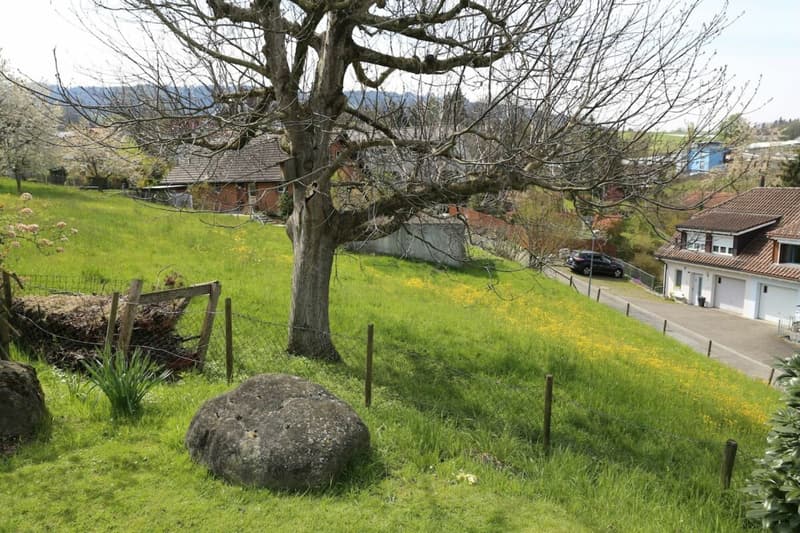 Villa mit Seesicht und mit separatem Bauland an sehr guter Lage. (6)