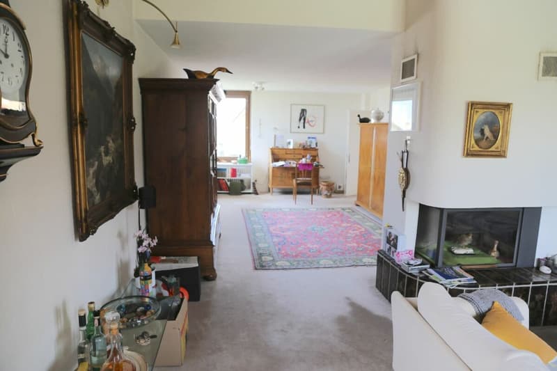 Villa mit Seesicht ? 1'150 m² Land in der W2a (7)