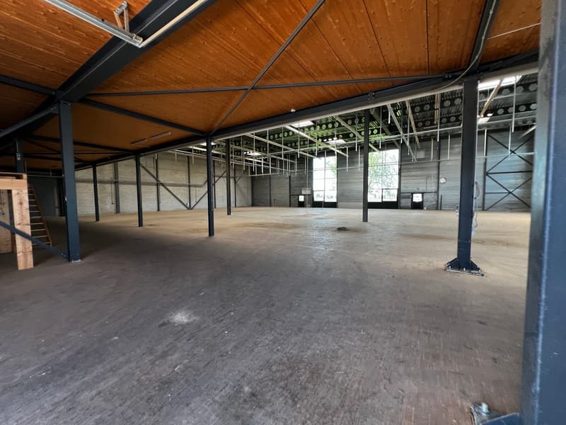 large open space, wooden ceiling, metal beams, concrete floor, large windows, metal staircase