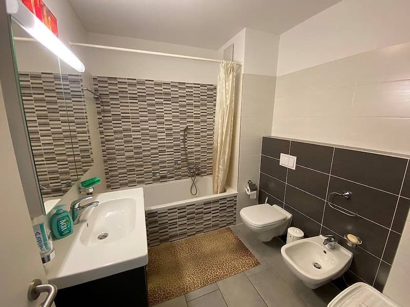 Mendrisio, 2.5 rooms with pool, wellness and park (8)